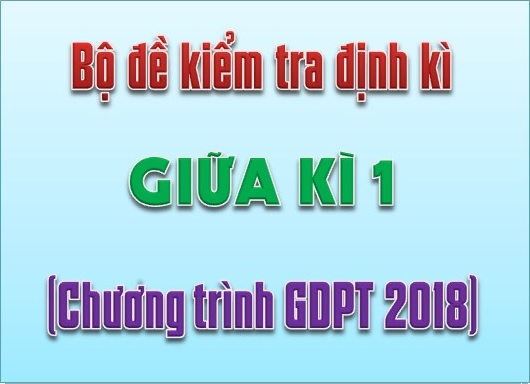 Đề ôn tập giữa kỳ 1 Toán 11 năm 2024 – 2025 trường THPT Gia Bình 1 – Bắc Ninh